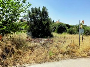 1,3 εκατ. ευρώ στους δήμους για μάζεμα ξερών χόρτων