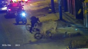 Περού: Η στιγμή που αφηνιασμένος ταύρος επιτίθεται σε ανυποψίαστους πολίτες