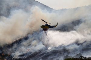 Φωτιά στην Εύβοια: Χωρίς ενεργό μέτωπο – Ζημιές σε καλλιέργειες και υποδομές