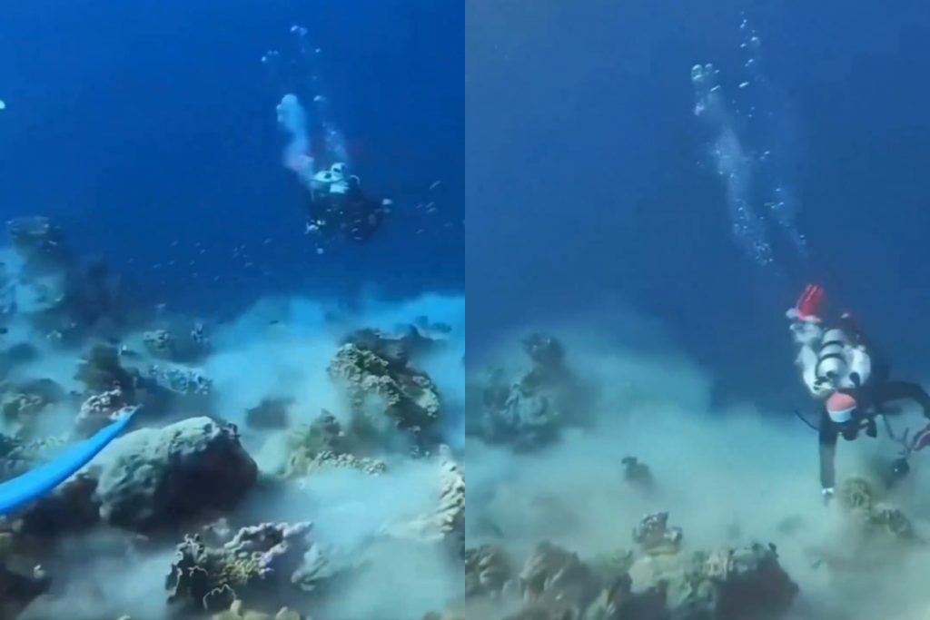 Δείτε το βίντεο: Έτσι μοιάζει ένας σεισμός στα βάθη του ωκεανού