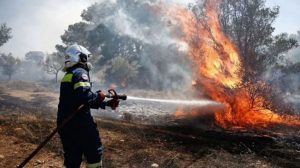 Φωτιά σε δύσβατη περιοχή στη Δράμα