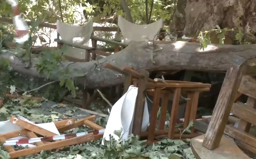 Δέκα άτομα προσπαθούσαν να σηκώσουν το κλαδί που χτύπησε την 44χρονη στο Λιτόχωρο