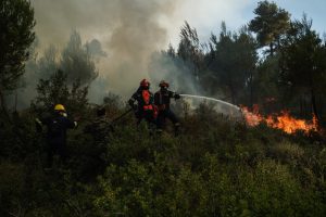 Στις φλόγες χαμηλή βλάστηση στη Νέα Καλλικράτεια Χαλκιδικής