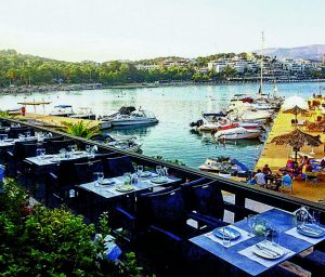 Από την Αθηναϊκή Ριβιέρα μέχρι το Βόρειο Αιγαίο…