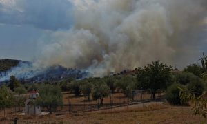 Φωτιά στον Ωρωπό – Ήχησε το 112