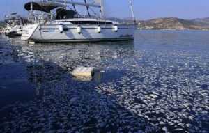 «Ταφόπλακα» η μόλυνση του Παγασητικού για τους επαγγελματίες – Ερώτηση ΣΥΡΙΖΑ στη Βουλή