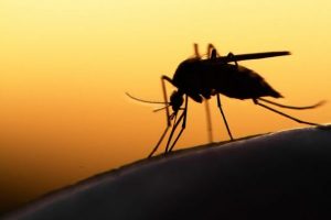 Το πρώτο κρούσμα εγκεφαλίτιδας στην Ελλάδα