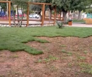 Απίστευτο περιστατικό: Έκλεψαν γρασίδι από πλατεία