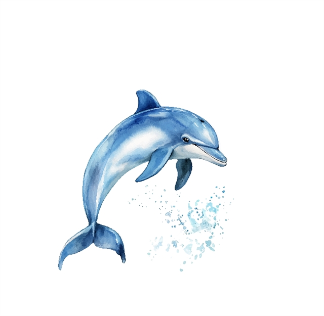 Τα δελφίνια θα έπρεπε ήδη να έχουν κατασχεθεί