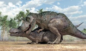 Ανατροπή για τον T. rex: Χρειάστηκε 40 χρόνια για να φτάσει στο μέγιστο μέγεθός του