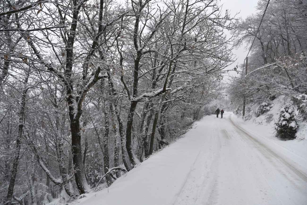 Επιστρέφει το φαινόμενο La Niña: Ο πλανήτης σε φάση ψύξης – Πώς θα επηρεαστεί ο φετινός χειμώνας