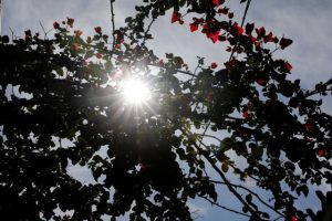 Καιρός: Αίθριος σήμερα – Έρχονται καταιγίδες την Τετάρτη