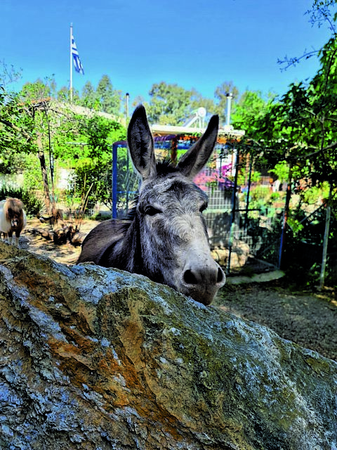 Open day στον χώρο του ΕΣΠΙ για καλό σκοπό