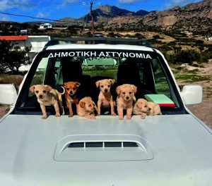 Το φαινόμενο – προάγγελος για μια Αστυνομία Ζώων