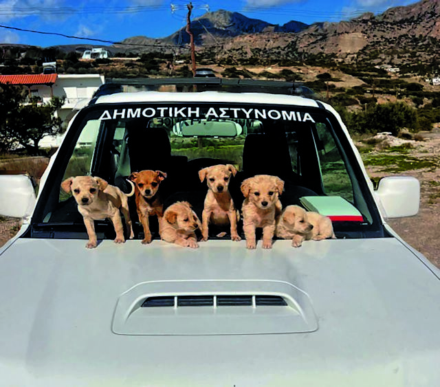 Το φαινόμενο – προάγγελος για μια Αστυνομία Ζώων