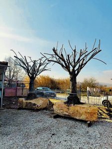 Δύο δέντρα – μνημεία για τους 57 νεκρούς