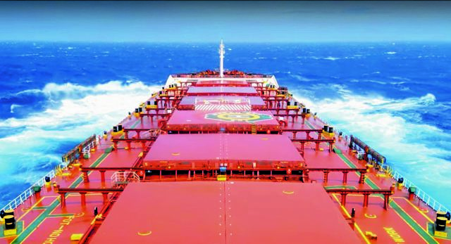 Ημερίδα για τη διάσωσητων καρνάγιων