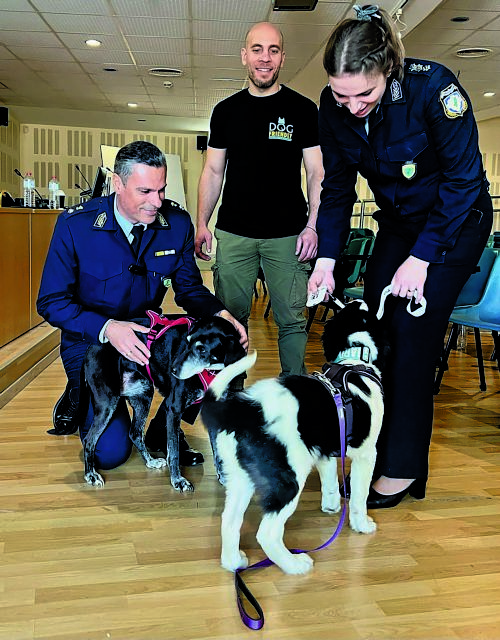 Ξεκινάει από την Κρήτη η πρώτη Αστυνομία Ζώων