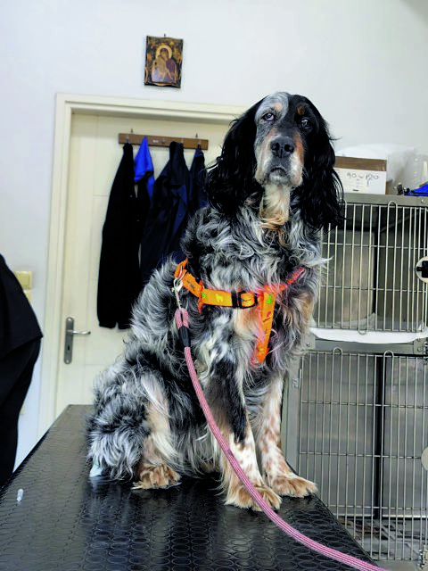 Την πέταξαν στη θάλασσα, την έσωσε το Λιμενικό