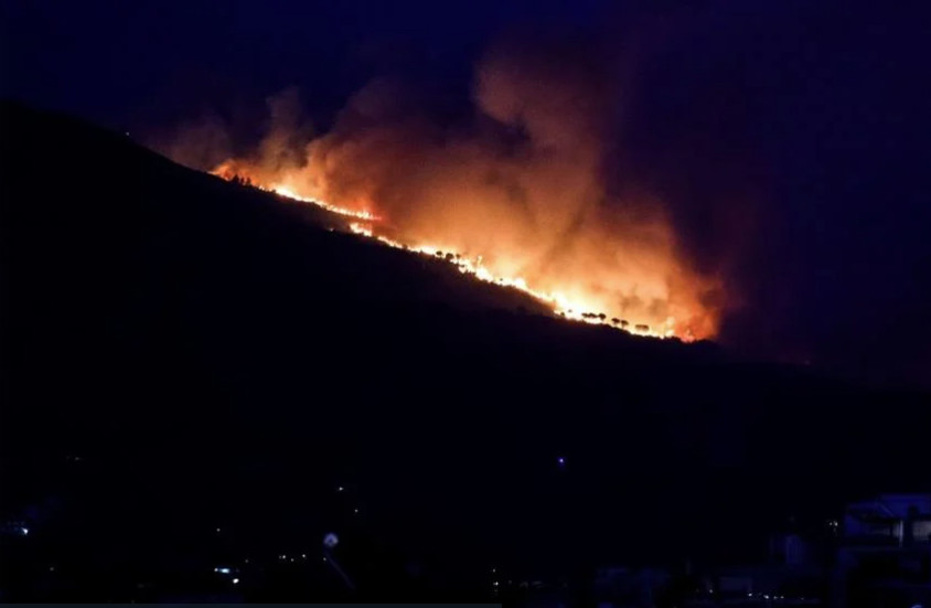 Εύβοια: Πυρκαγιά σε δασική έκταση στους Καλλιανούς Καρύστου – Μήνυμα του 112