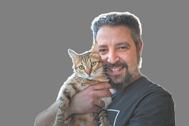 Να υιοθετήσω ενήλικο ή μωρό γατάκι;