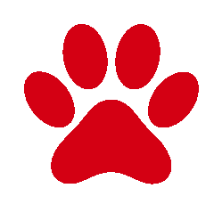 Δεν βρήκαν δικαίωση ούτε μετά θάνατον…