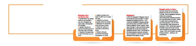 Διασχολικό πρόγραμμα για τη φροντίδα και προστασία          των ζώων συντροφιάς