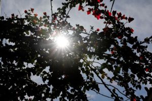 Καιρός: Ηλιοφάνεια και πιο ήπιες θερμοκρασίες την Πέμπτη – Τι αλλάζει τις επόμενες ημέρες