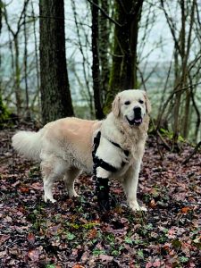 Μια εταιρεία που κατασκευάζει τεχνητά άκρα και όχι μόνο