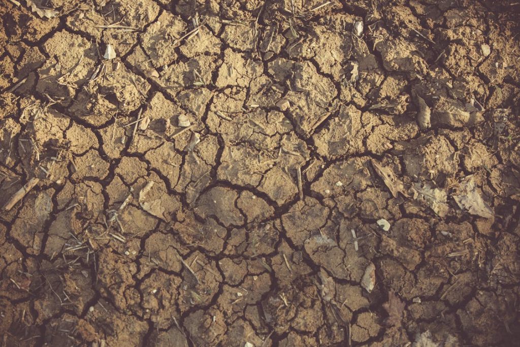 Πώς η ξηρασία απειλεί την οικονομία της Ευρωζώνης – Ποιοι οι βασικοί κίνδυνοι