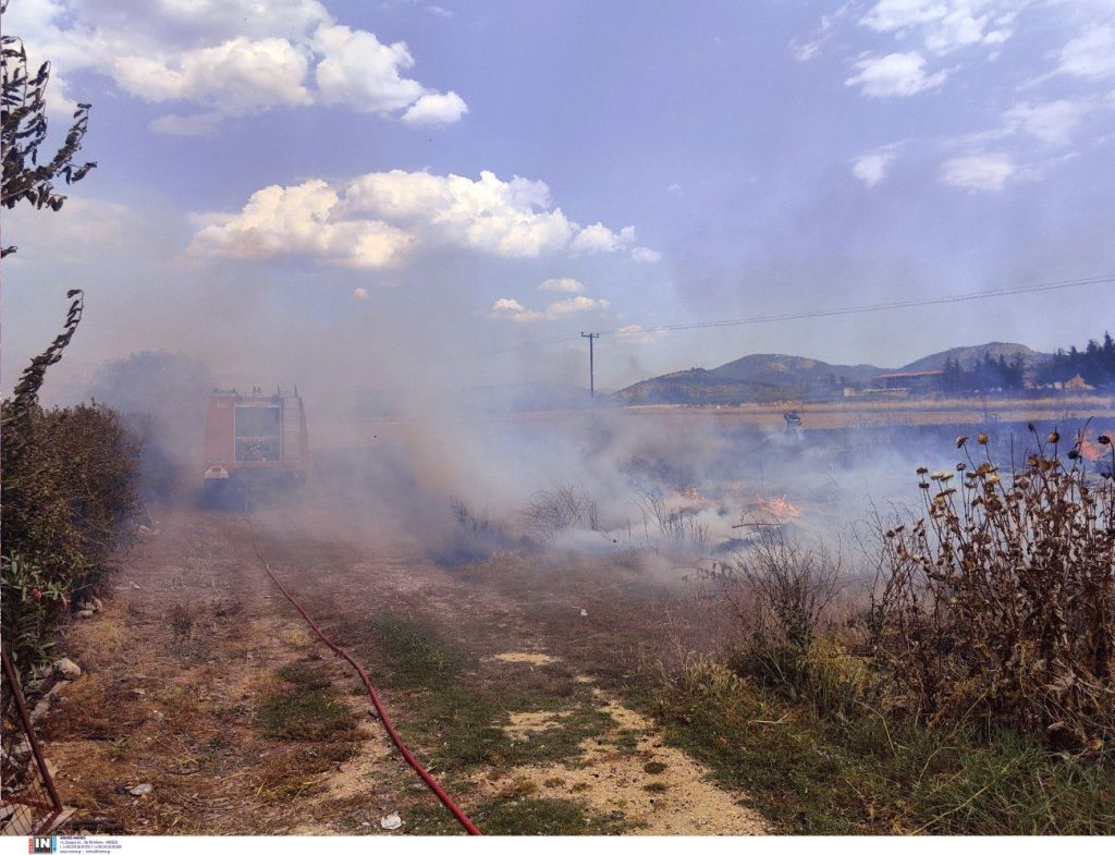 Φωτιά στην Ανάβυσσο – Επιχειρούν έξι εναέρια