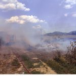 Φωτιά στην Ανάβυσσο – Επιχειρούν έξι εναέρια