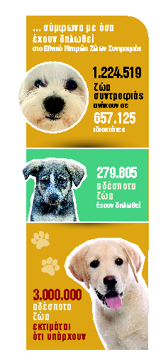 Η κακοποίηση δεν ξεκινά με τη βία – Ξεκινά με τη ζήτηση