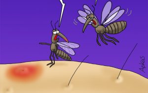 Αρκάς: «Καλημέρα… με κουνούπια!»