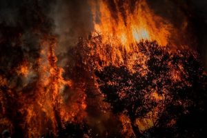 Μεσολόγγι: Πυρκαγιά σε δασική έκταση στην περιοχή Οινιάδες
