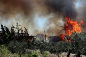 Πολύ υψηλός κίνδυνος πυρκαγιάς την Παρασκευή σε 4 περιφέρειες