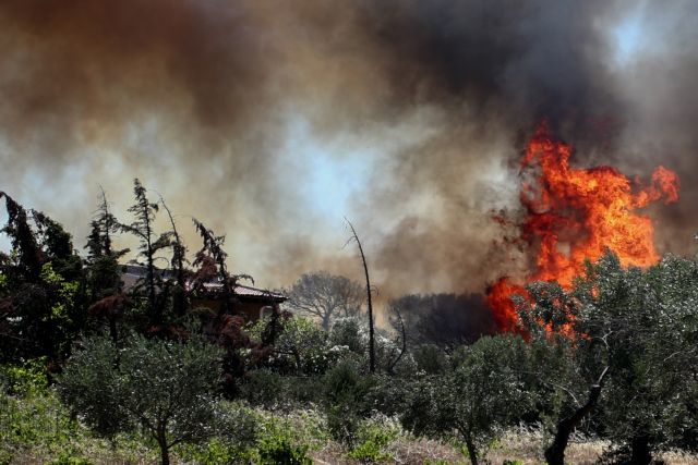 Πολύ υψηλός κίνδυνος πυρκαγιάς την Παρασκευή σε 4 περιφέρειες