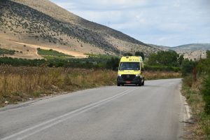 Λαμία: Σοβαρό τροχαίο μετά από σύγκρουση αυτοκινήτου με αγελάδα