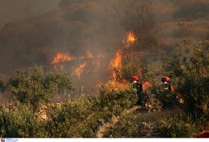«Μάχη» με τα πύρινα μέτωπα και σήμερα – Αποσοβήθηκε ο κίνδυνος επέκτασης της φωτιάς στην πόλη του Κιλκίς