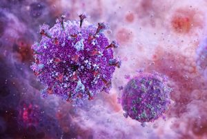 Το μυστικό της μακροζωίας: Το βιολογικό «κλειδί» για πιο αργή γήρανση