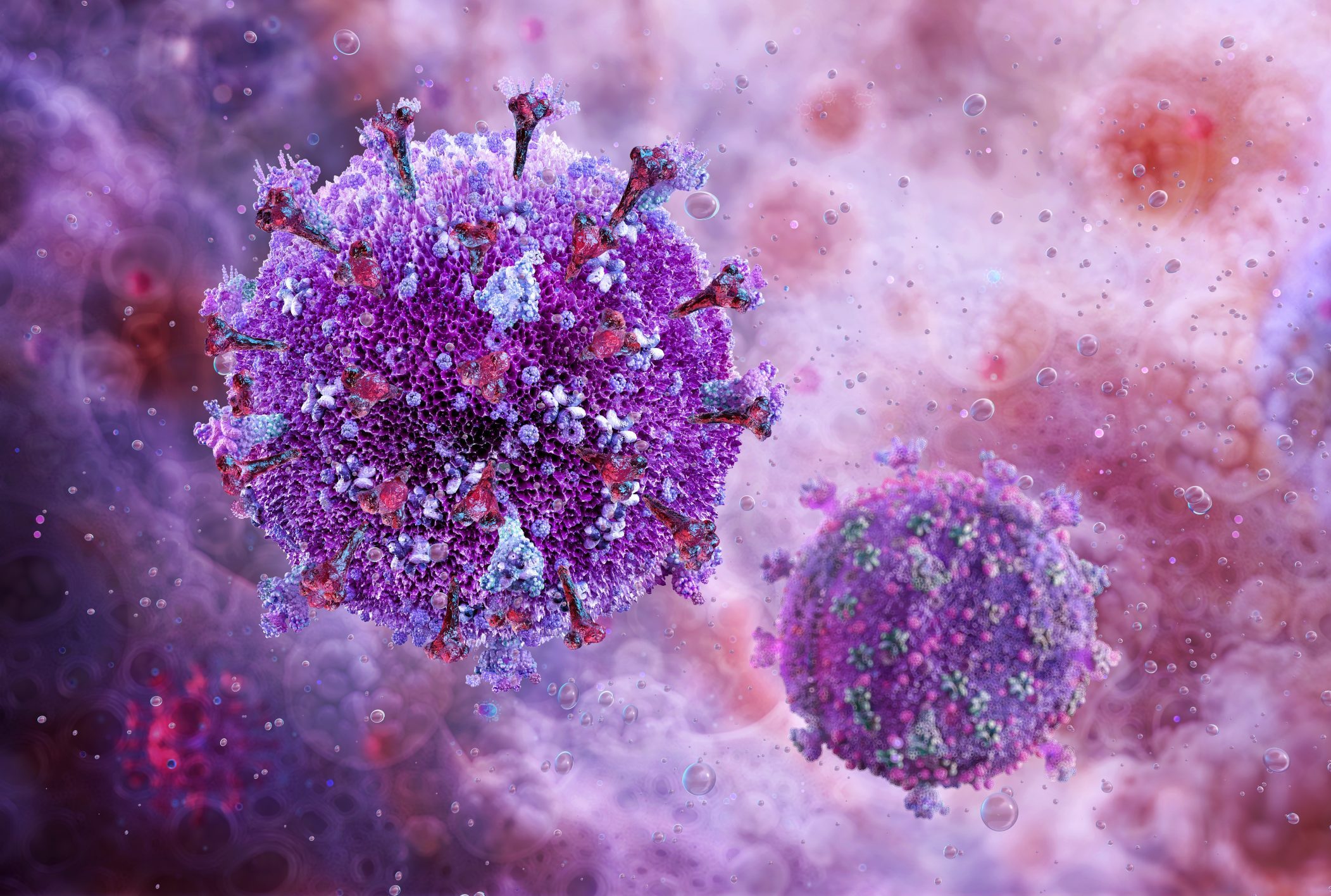 &Tau;&omicron; &mu;&upsilon;&sigma;&tau;&iota;&kappa;ό &tau;&eta;&sigmaf; &mu;&alpha;&kappa;&rho;&omicron;&zeta;&omega;ί&alpha;&sigmaf;: &Tau;&omicron; &beta;&iota;&omicron;&lambda;&omicron;&gamma;&iota;&kappa;ό &laquo;&kappa;&lambda;&epsilon;&iota;&delta;ί&raquo; &gamma;&iota;&alpha; &pi;&iota;&omicron; &alpha;&rho;&gamma;ή &gamma;ή&rho;&alpha;&nu;&sigma;&eta;