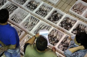 Το «ράλι» της ακρίβειας συνεχίζεται: Πόσο πιο ακριβά πληρώνουμε το κρέας και το ψάρι