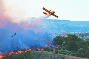 Εύβοια: Χωρίς ενεργό μέτωπο η πυρκαγιά σε αγροτοδασική έκταση στη Λούτσα