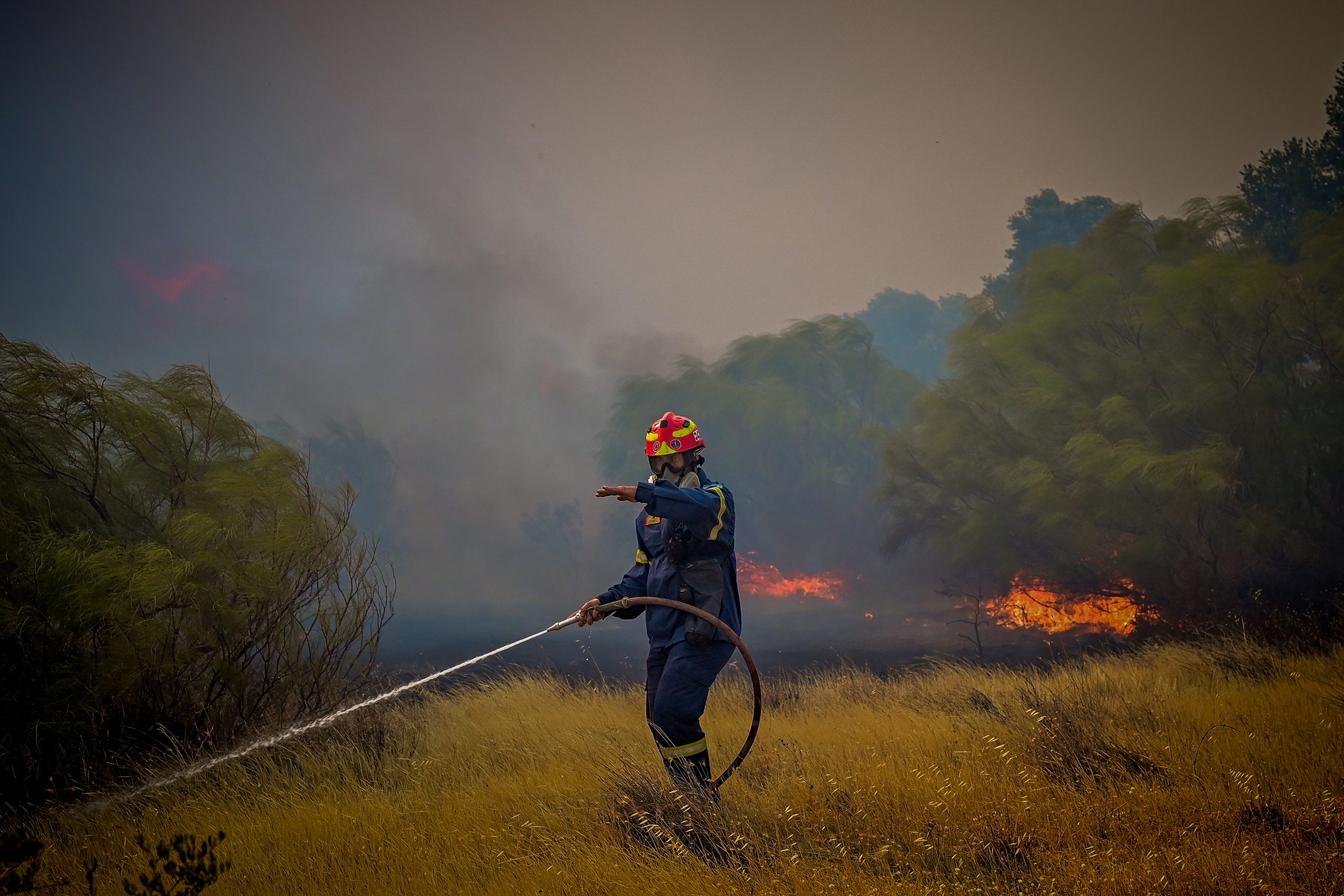 Φωτιά τώρα στον Άγιο Στέφανο Αττικής