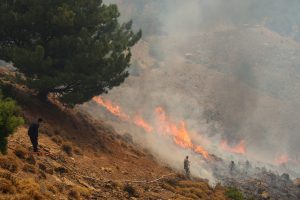 Φωτιά τώρα στην Ερμιόνη Αργολίδας