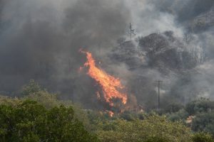 Σουφλί: Πυρκαγιά σε αγροτική έκταση στα Λάβαρα
