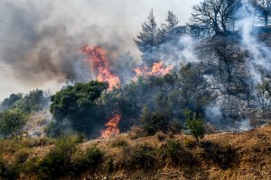 Πάτρα: Δύο συλλήψεις για εμπρησμό -19χρονος υπέδειξε το σημείο που έβαλε φωτιά στα Συχαινά