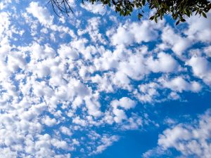 Καιρός σήμερα: Αίθριος με αραιές νεφώσεις και ομίχλες – Έως 19°C, παγετός το πρωί στα βόρεια