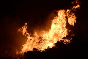 Αυστραλία: Κατάσταση καταστροφής κήρυξε η πολιτεία Βικτόρια λόγω της έκτασης των πυρκαγιών