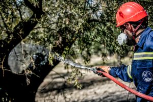 Οριοθετήθηκαν οι φωτιές σε Άρτα και Αγίο Στέφανο